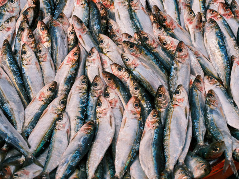 Que el Mediterráneo esté más caliente no solo se nota en la playa, también en el mercado: 