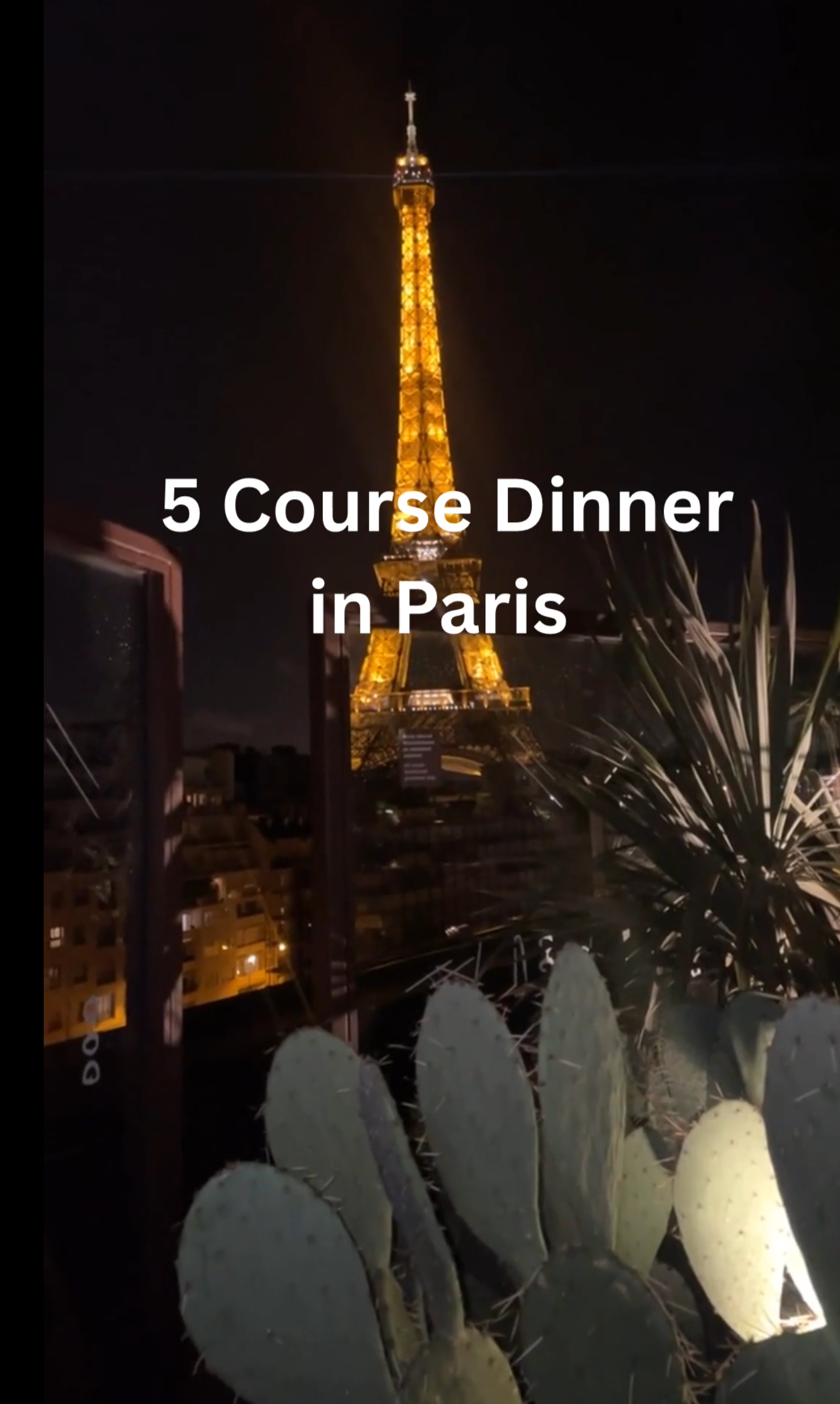 5 course dinner at a Paris restaurant