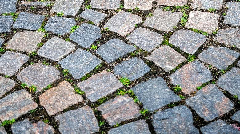 The simple, lasting fix that'll keep weeds out of your pavers and ...