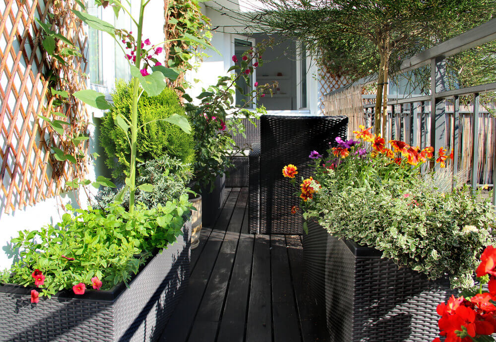 18 ideas for balcony gardening