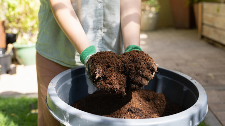 The simple DIY that gives your old potting soil new life