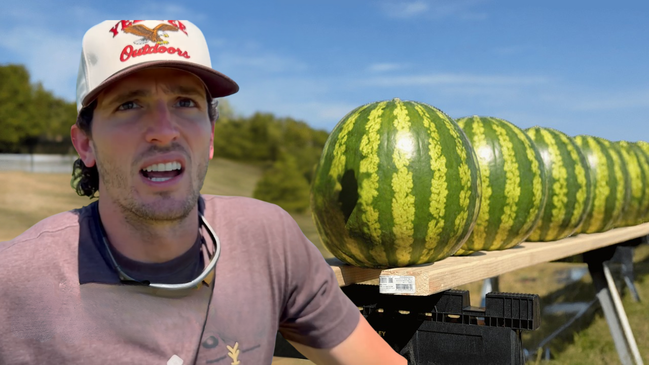 Ballistics test: How many watermelons stop a bullet?