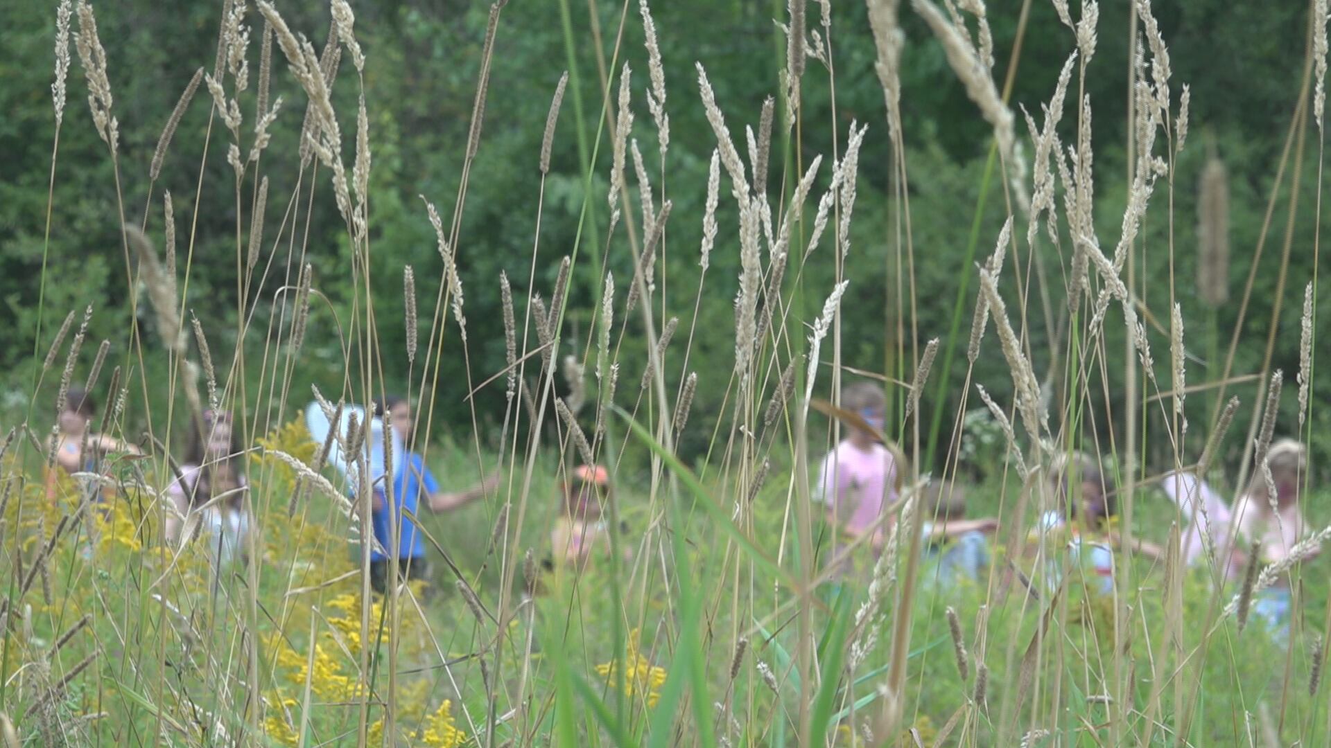Butterfly festival brings bright colors and crowds to Holden