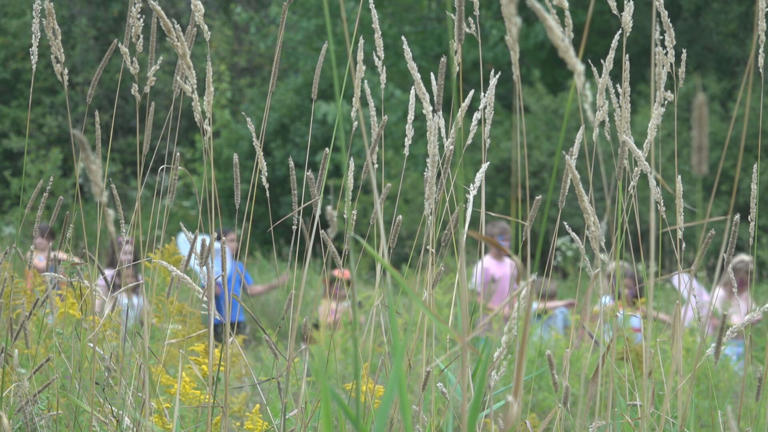 Butterfly festival brings bright colors and crowds to Holden