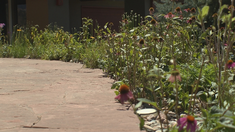Lyons could become first Colorado town to require wildfire mitigation at existing homes
