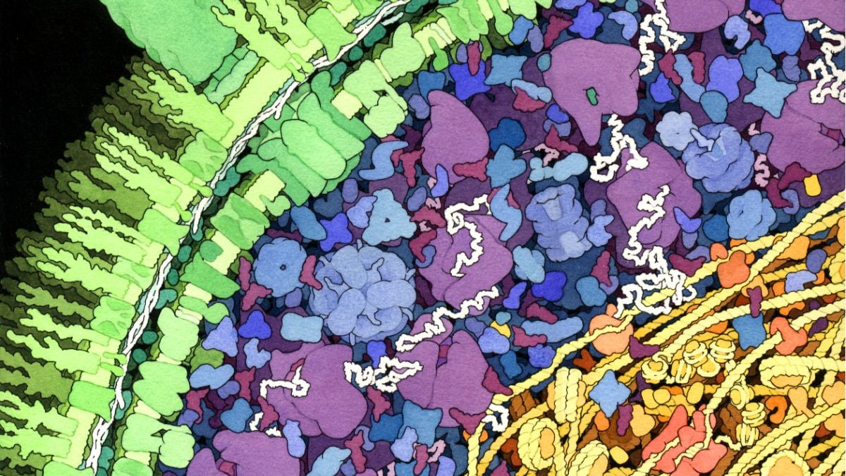 Scientists discover a bizarre new way life can make DNA without DNA