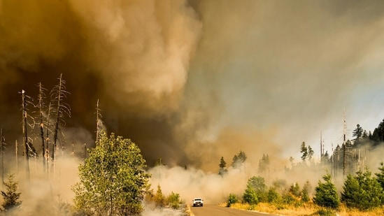 Where is the fire in Reno today? Location, map, latest updates as Hawk ...