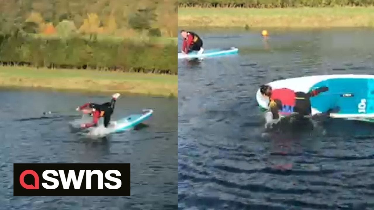 Family captured on camera trying to keep their balance on paddleboards ...