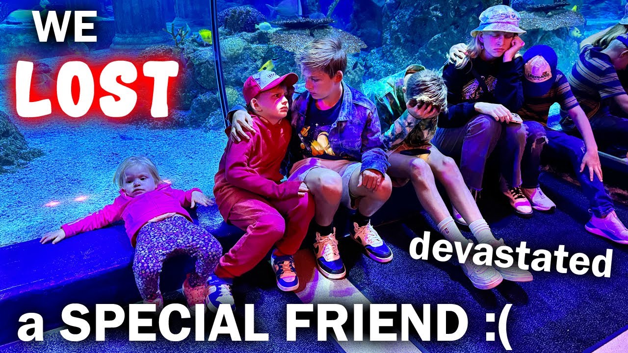 Family discovers their beloved fish passed away at Legoland Aquarium