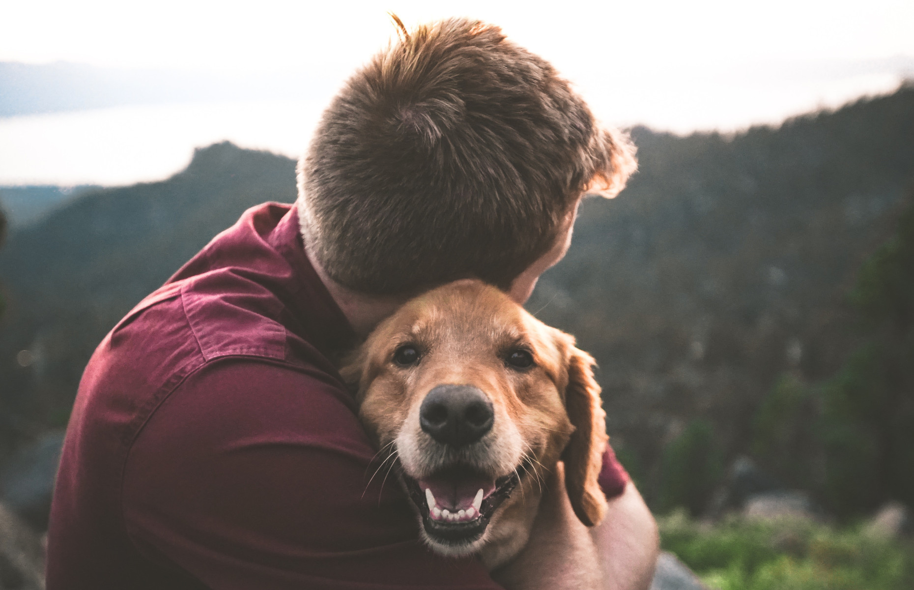 Animal de soutien émotionnel : voici ce que vous devez savoir