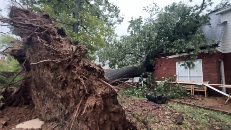 Severe storms wreak havoc across the Mid-South, leave woman's home crushed by large tree