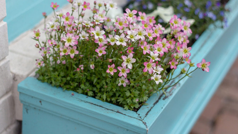 the-best-hacks-for-hiding-an-unsightly-water-meter-in-your-yard