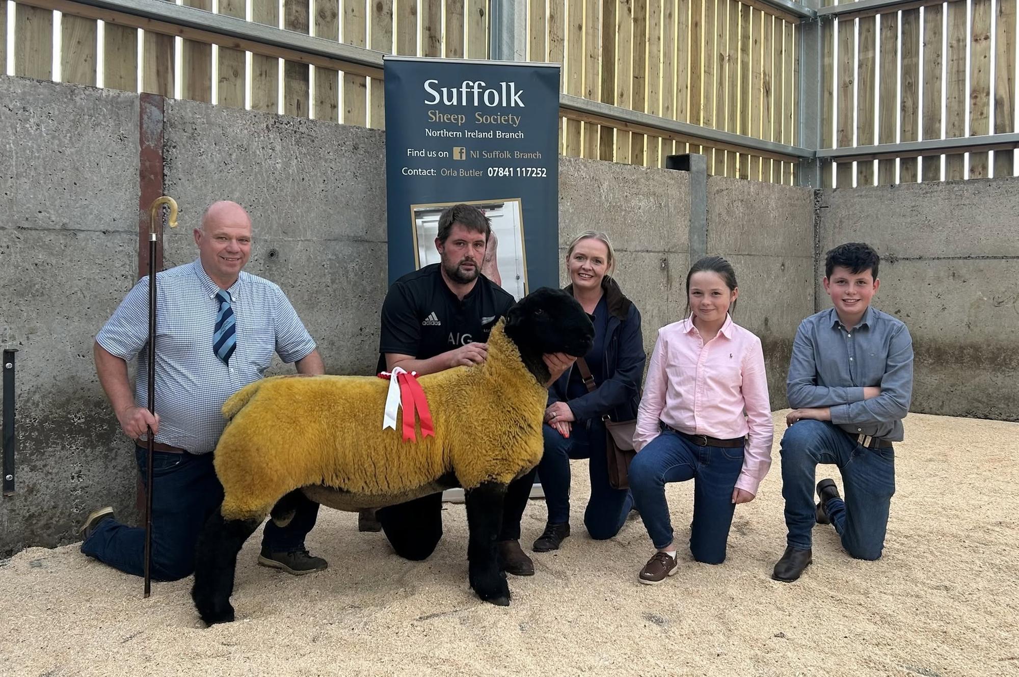 Ballymena shearling ram and ram lamb show and sale