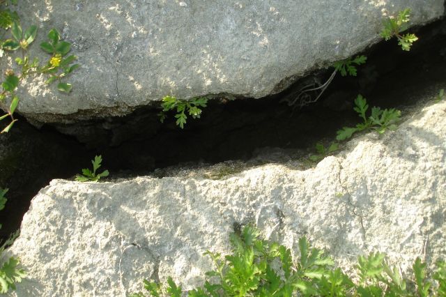 https://img-s-msn-com.akamaized.net/tenant/amp/entityid/AA2aKtrp.img?w=640&h=426&m=4&q=79