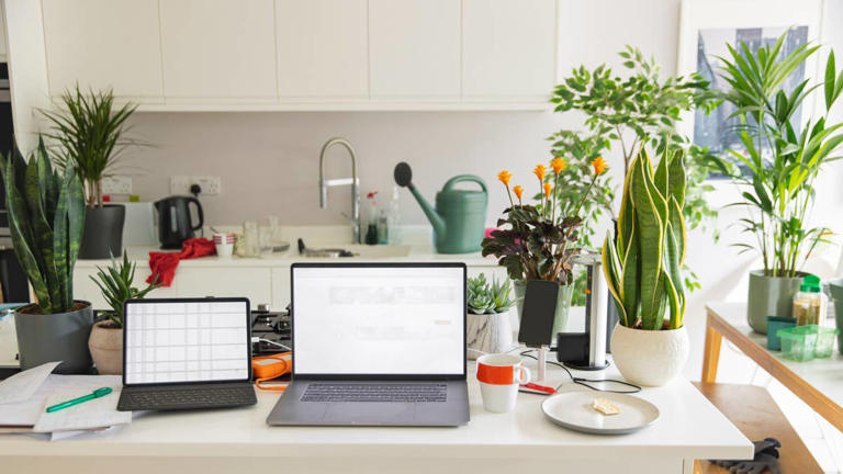 5 expert tips to keep your kitchen organized and clutter-free