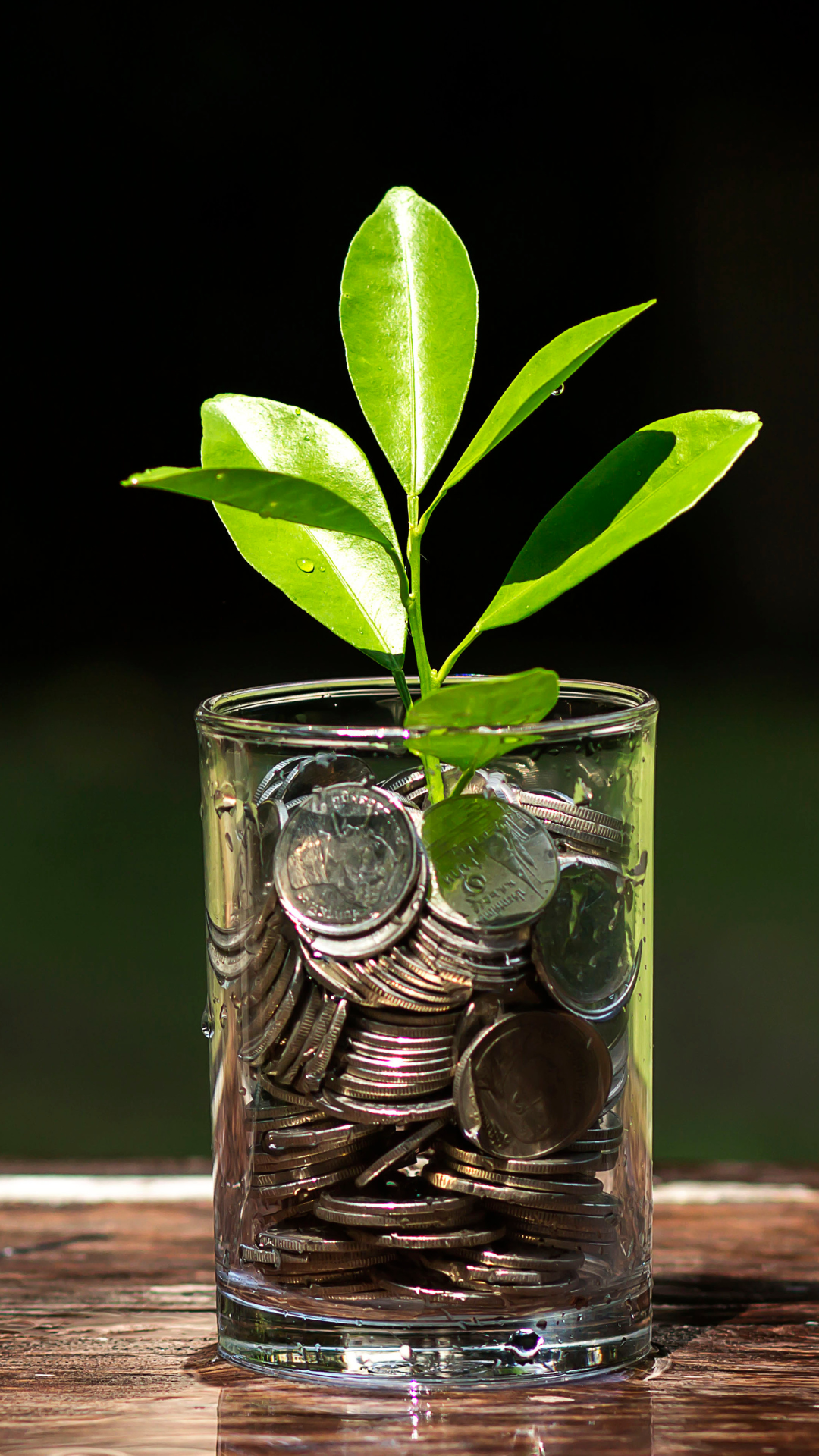 The tax code rewards investing — incentives most people miss