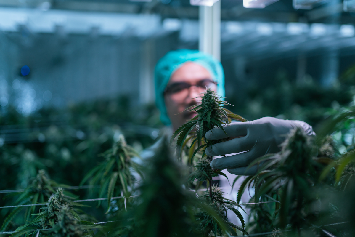 Tilray posted record fiscal 2026 revenue -- why isn't the stock rallying?