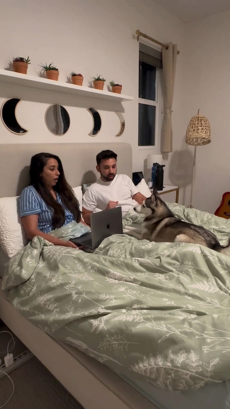 Husky brings holiday plans to a sudden stop