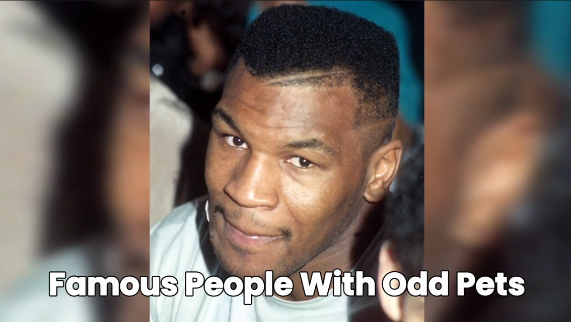 Famous people who keep some very unusual pets