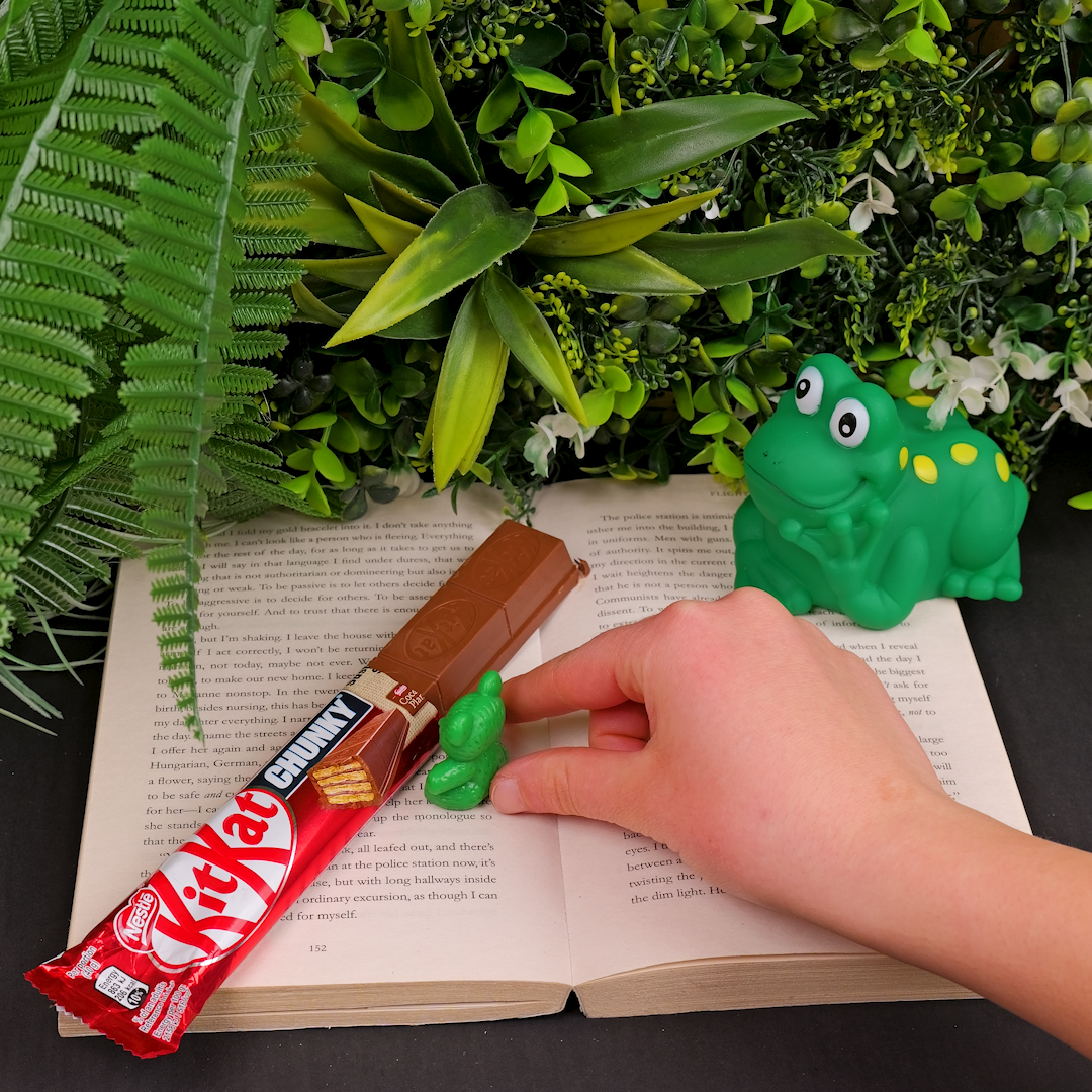 Behind the scenes of creating a stop motion video! 🎥🎬