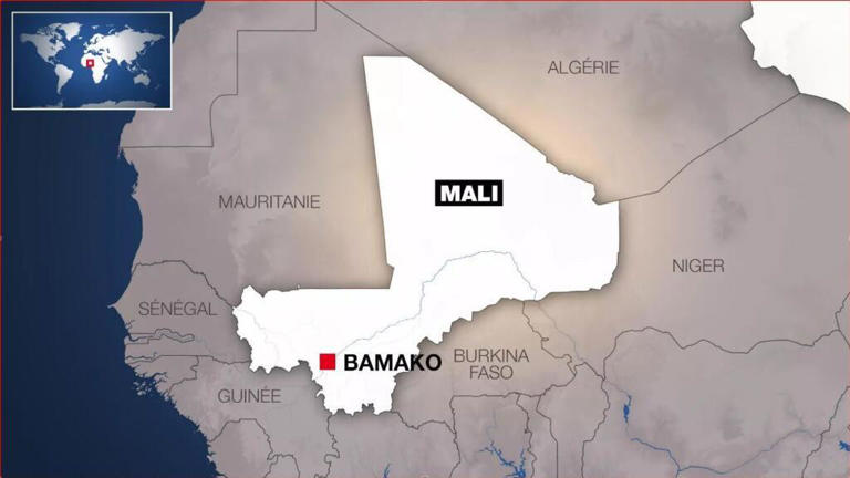 Mali : nouvelle libération de soldats maliens détenus par les rebelles touaregs du FLA