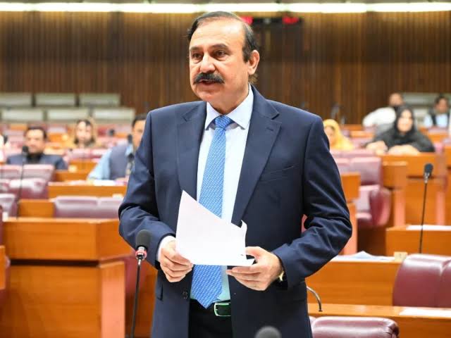 New provinces should created if serve Pakistan interests, minister ...