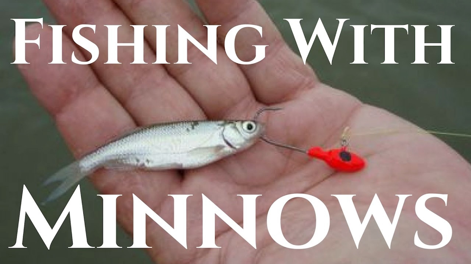 Multi Specie Fishing with live Minnows