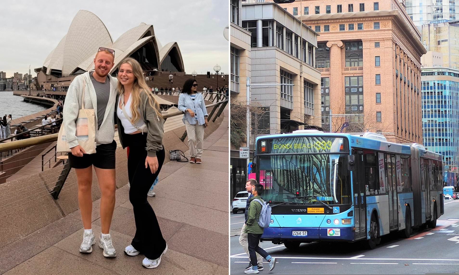 British expat's observation about Sydney buses is dubbed 'most relatable culture shock ever'