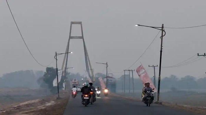 Hutan Kalimantan Dibakar? Polisi Temukan 35 Korek Api, Bensin, dan Bibit Sawit