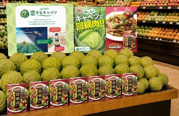 人工衛星でキャベツの「買いどき」予測、味の素がCook Doの広告と連動