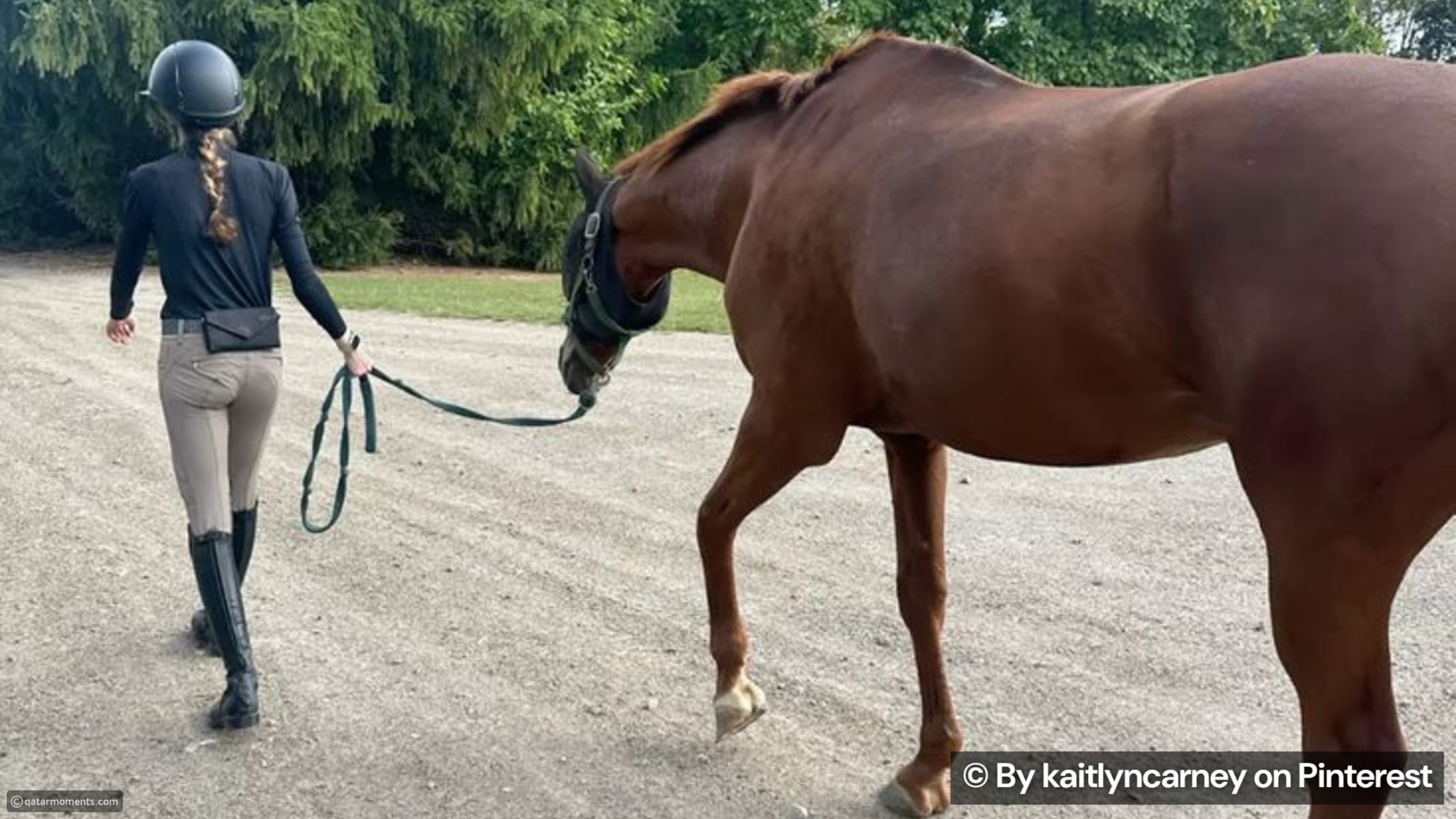 the-hidden-signs-a-horse-trusts-its-rider