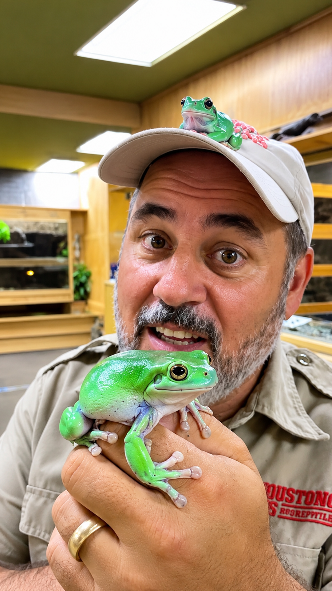 This dumpy tree frog looks cute but eats surprising prey