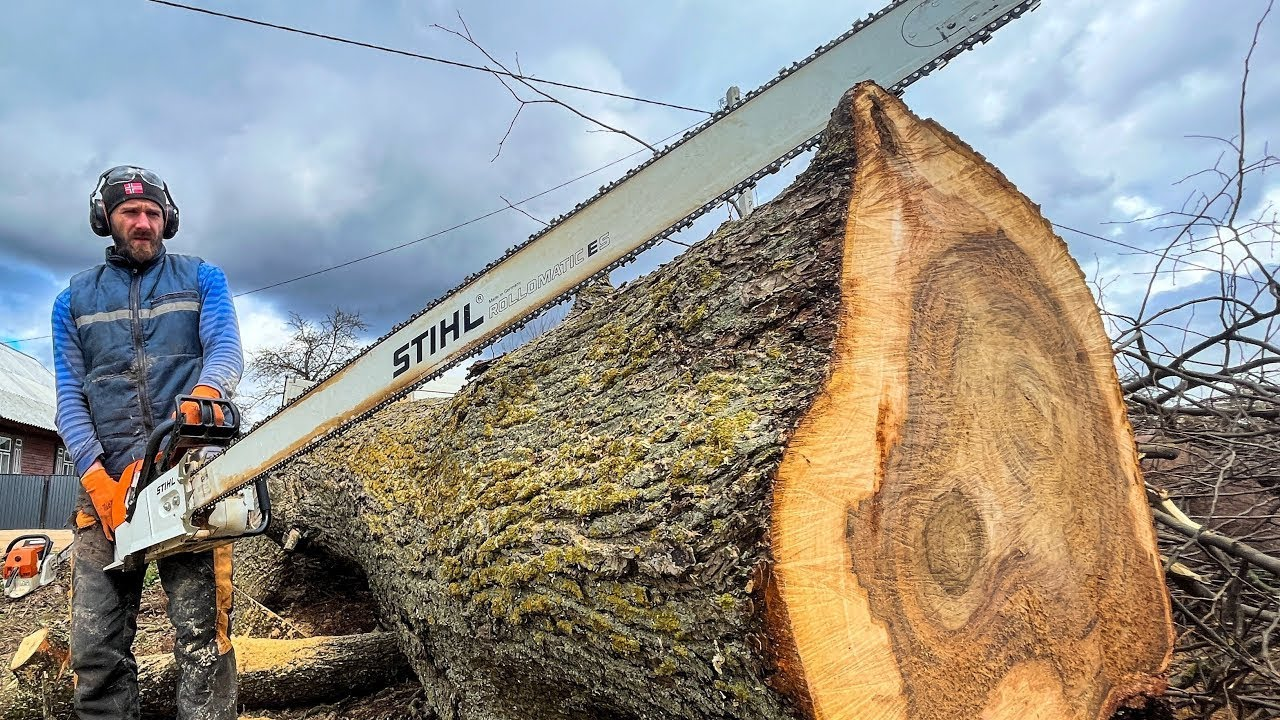 Bad weather, hidden metal, and breakdowns still couldn’t stop this chainsaw
