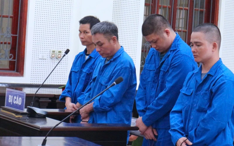 Đào ma túy chôn dưới vườn lên phơi nắng, người đàn ông bị bắt