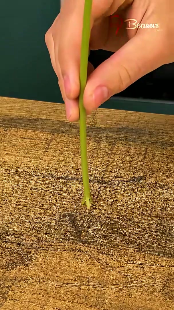 Beautiful dandelion flower hack #creative #dandelions #flowers