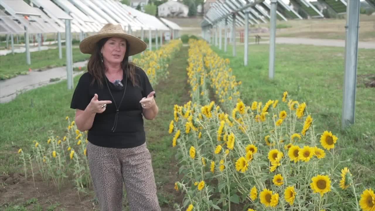 The wide-reaching impacts of Chatfield Farms' solar garden