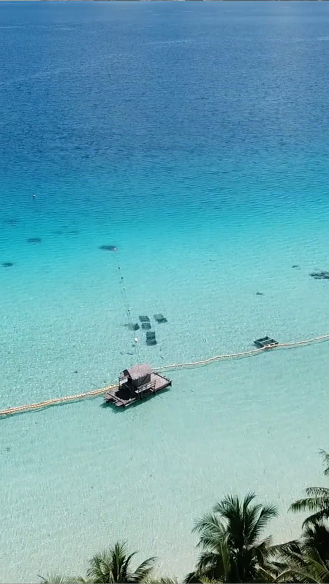 Pohnpei, Micronesia: Drone explores the garden island