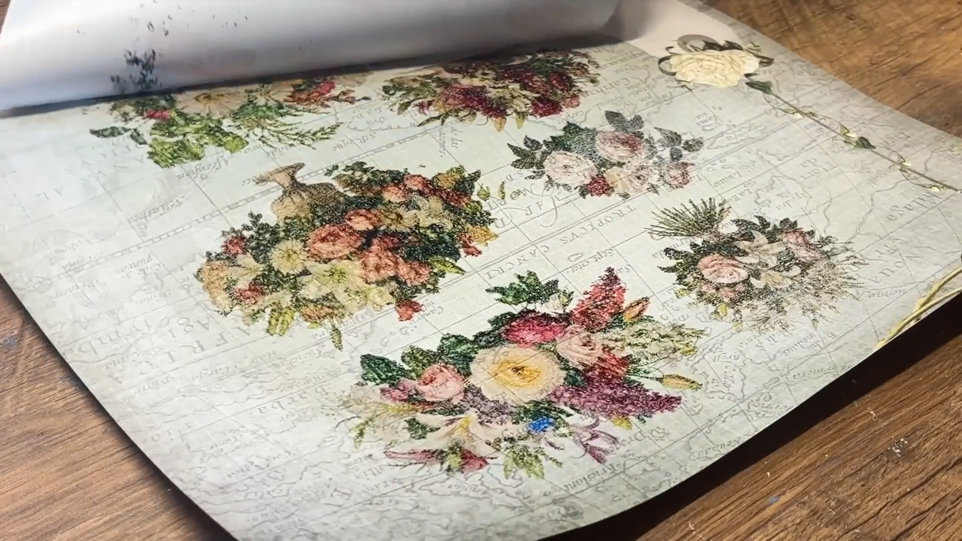 DIY rub-on transfers using ordinary label backing