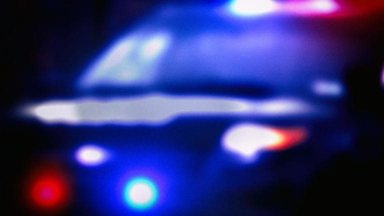 Man arrested after hitting Rock Valley police officer with truck