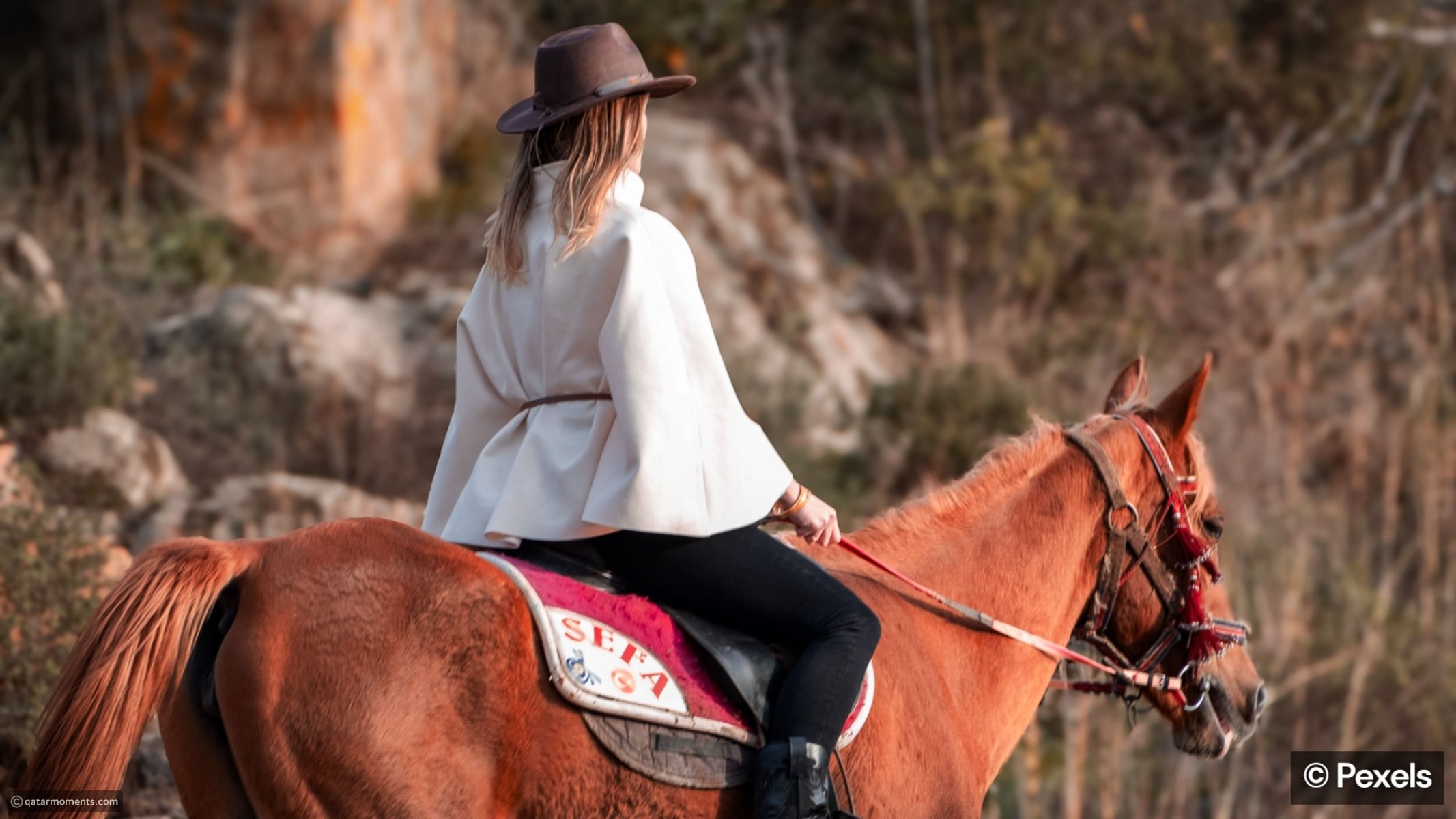 the-hidden-signs-a-horse-trusts-its-rider