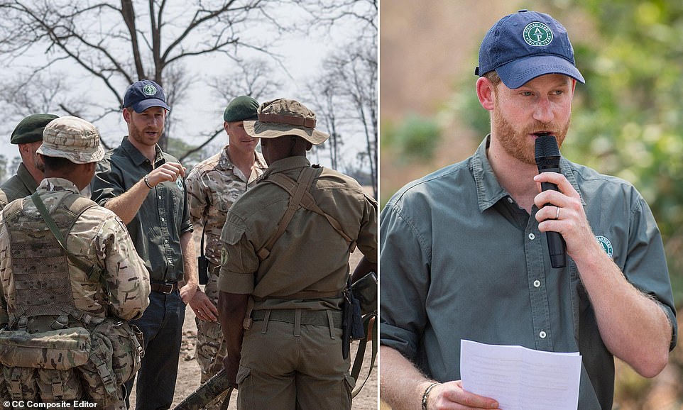 Prince Harry quits African Parks after abuse claims against rangers
