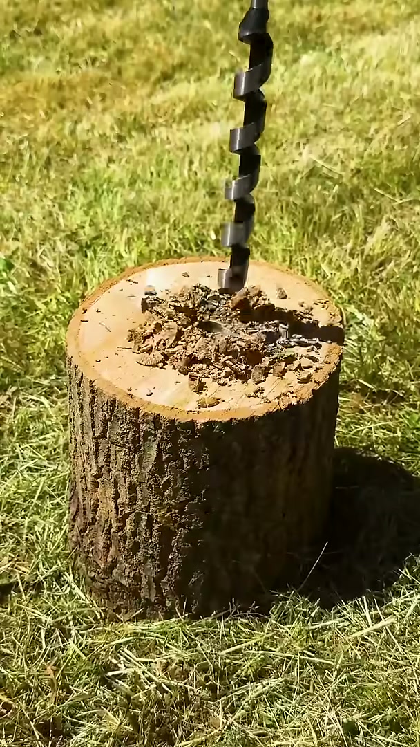 Genius tree stump removal #tree #remove #stump #easy