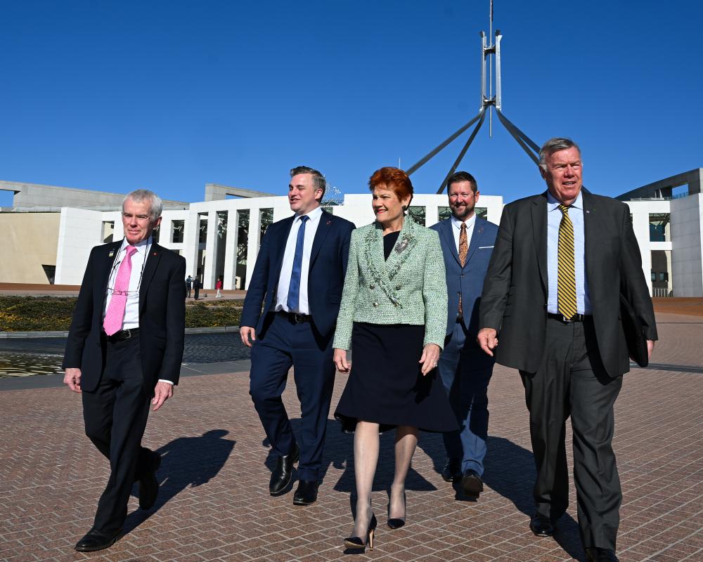One Nation's immigration policy is not clear, even to its MPs