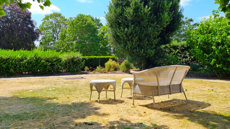 3 things to do to your lawn before it rains to help it bounce back