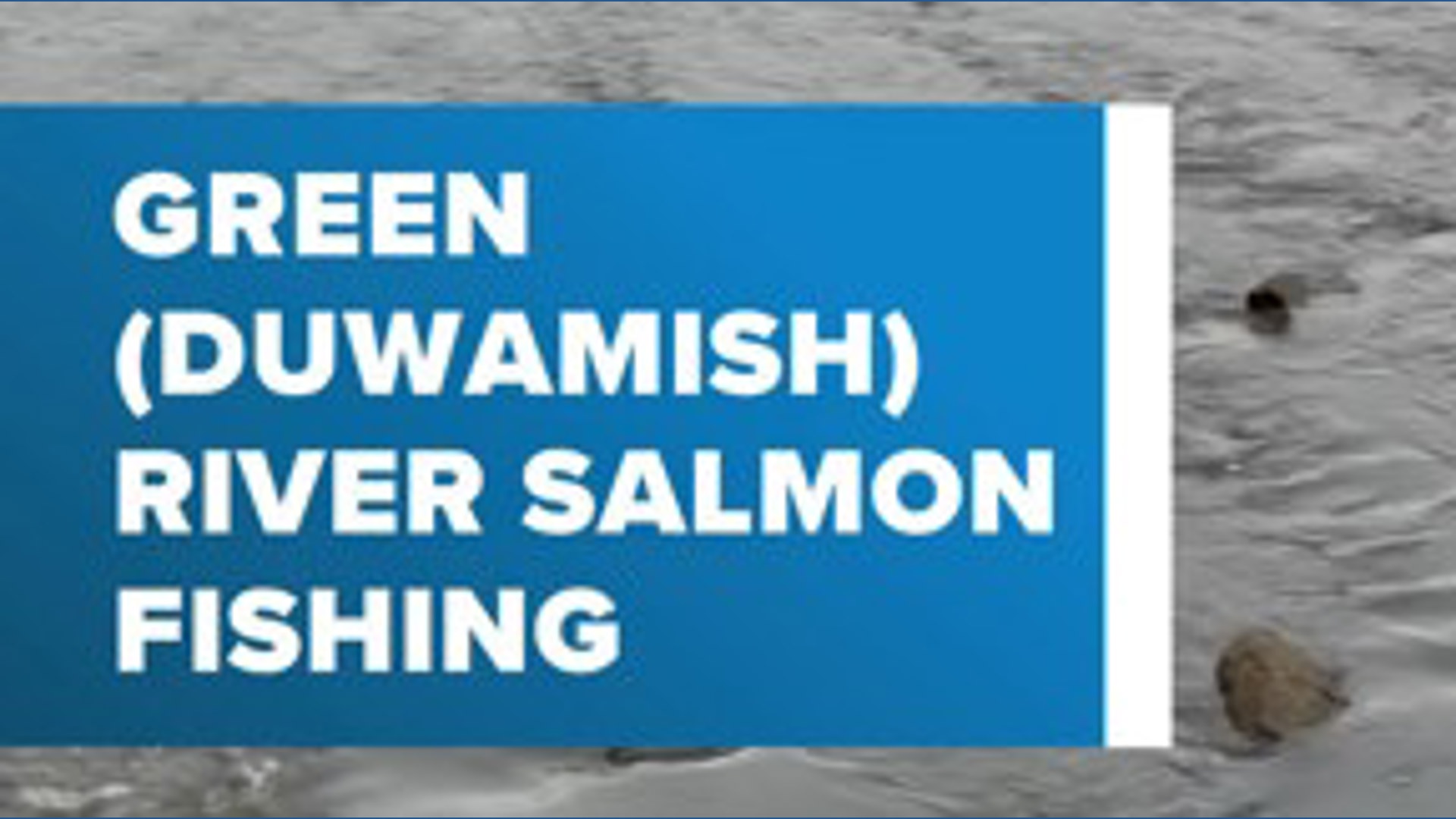 Green (Duwamish) River salmon fishing