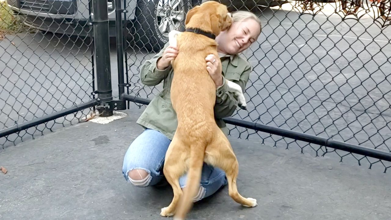 Emotional homecoming: Sammy reunites with her military mother after 8 ...