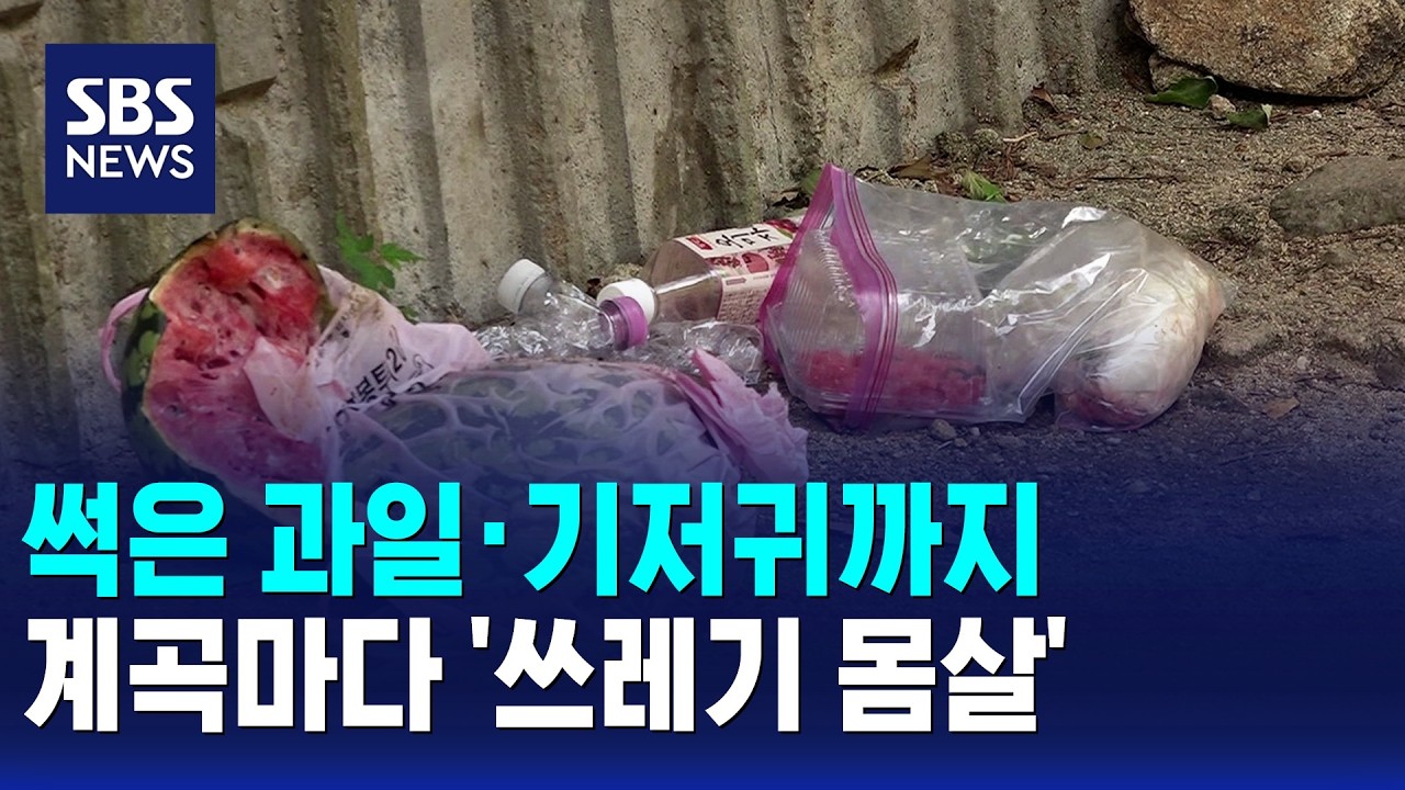 썩은 과일·기저귀까지..계곡마다 '쓰레기 몸살' / SBS 모닝와이드 1부