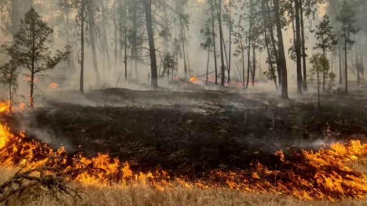 Latest updates on Oregon wildfires