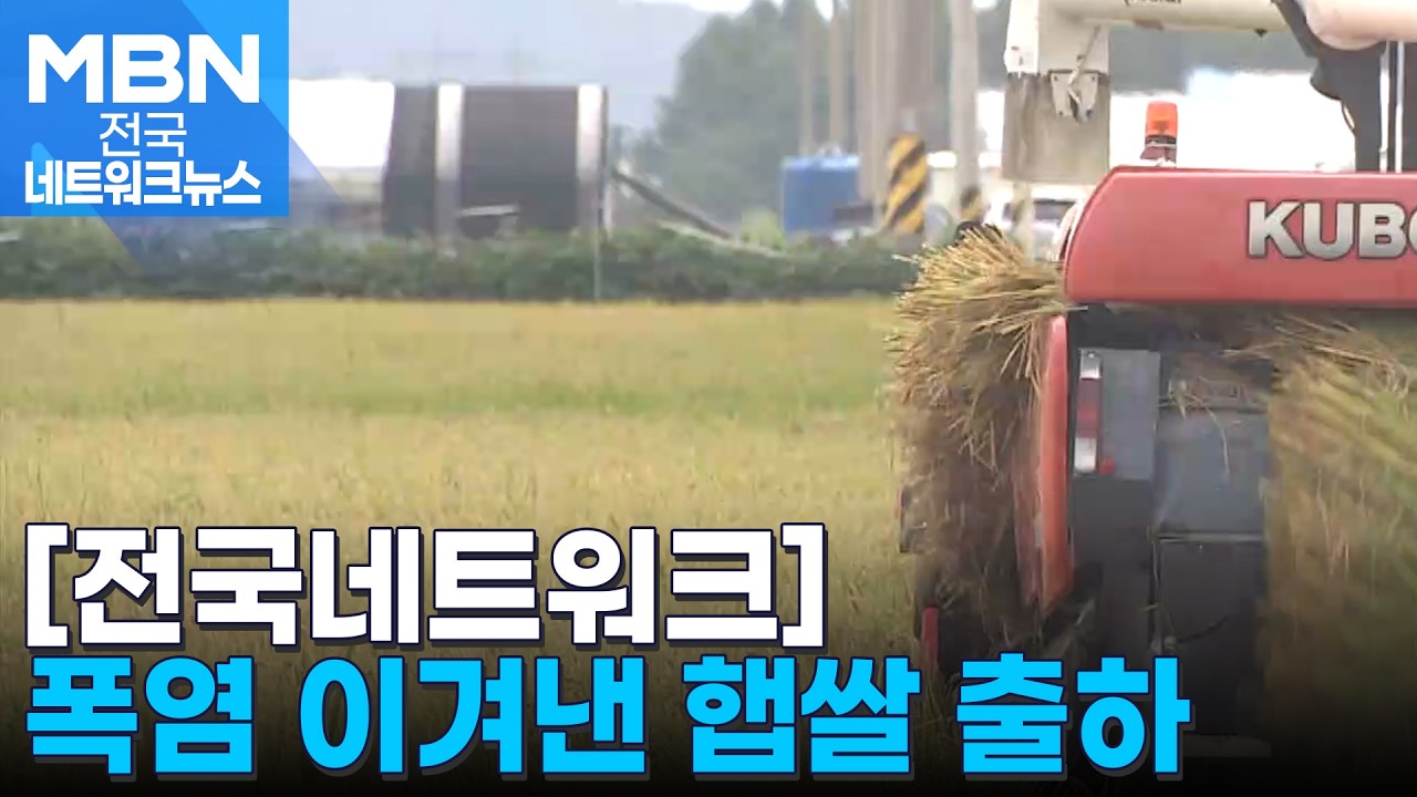 폭염 이겨낸 햅쌀 출하…최북단 철원 '첫 벼 베기' [전국네트워크]