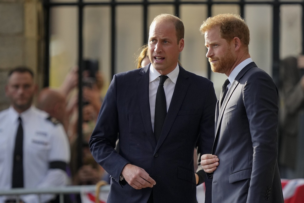 Prodigal Prince Harry's return to UK poses dilemma for William